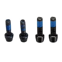 Ritchey M4 Torx T20 Steel Bolts for WCS Chicane B2 Stem – Set of 2