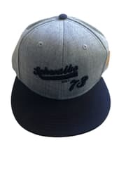 Schwalbe Vintage Snapback Cap - Grey & Blue with Embroidered Schwalbe 73 Logo