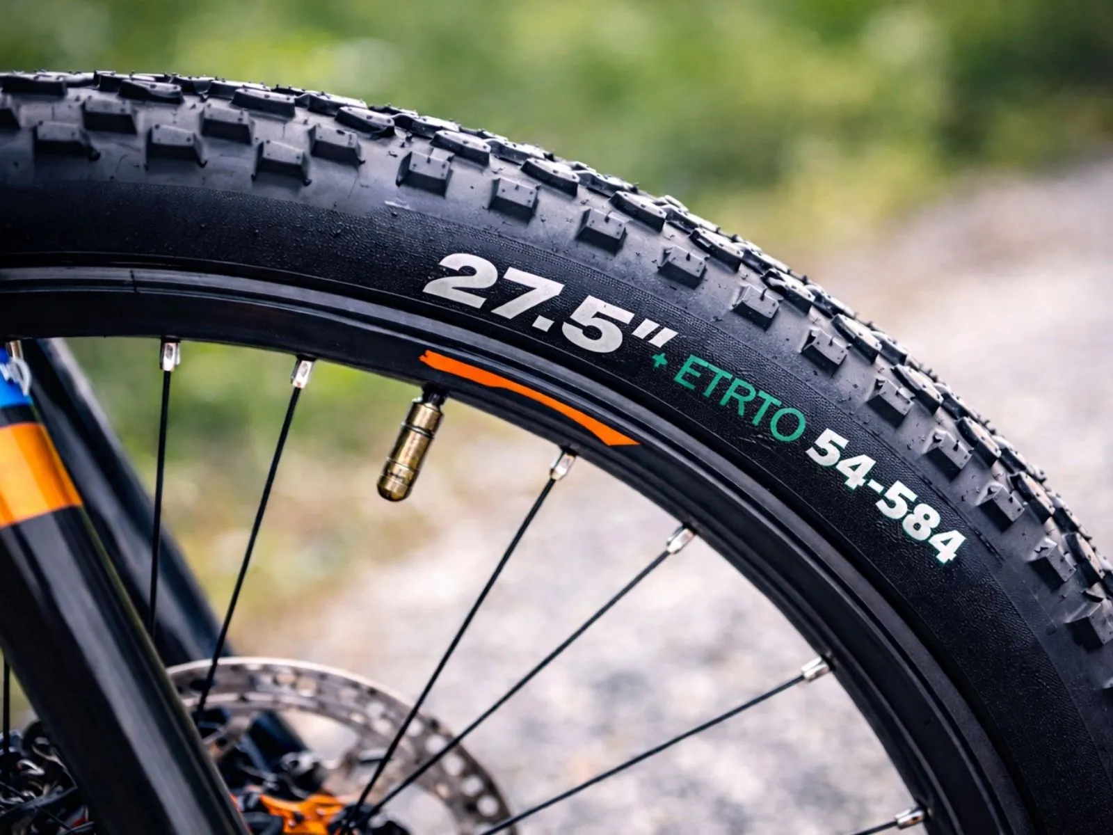 Bike tyres selection